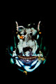 face abstract