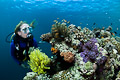 Philippine reefscape I