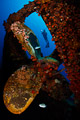 Hilma Hooker propeller #1