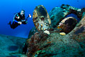Hilma Hooker propeller #2