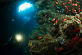 diver in a cave