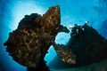 Al Kahfain propeller and diver