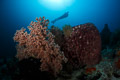 Bangka Reef Scape