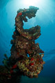 Umbria wreck