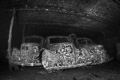 Umbria wreck